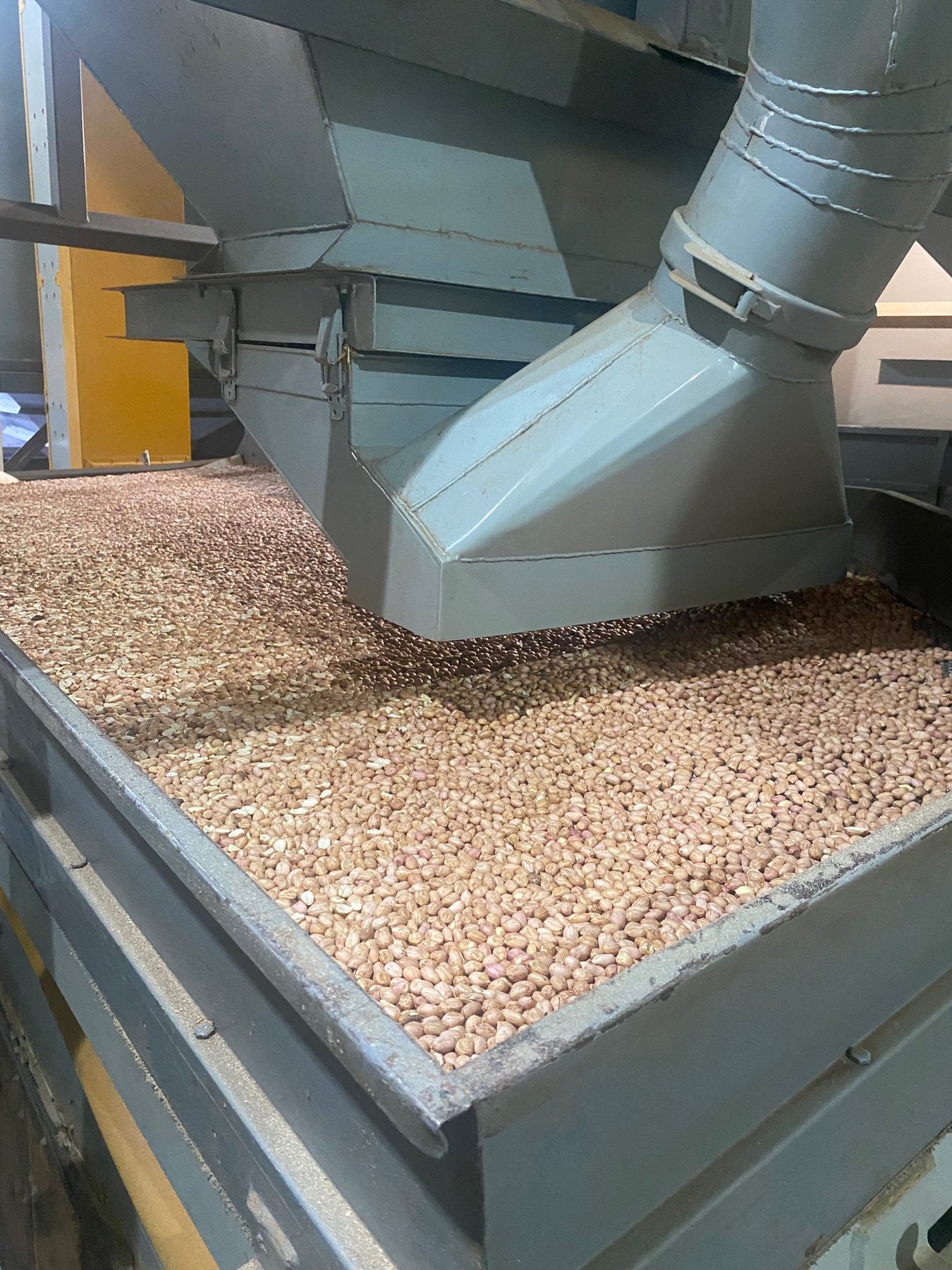 Grains flowing through a chute