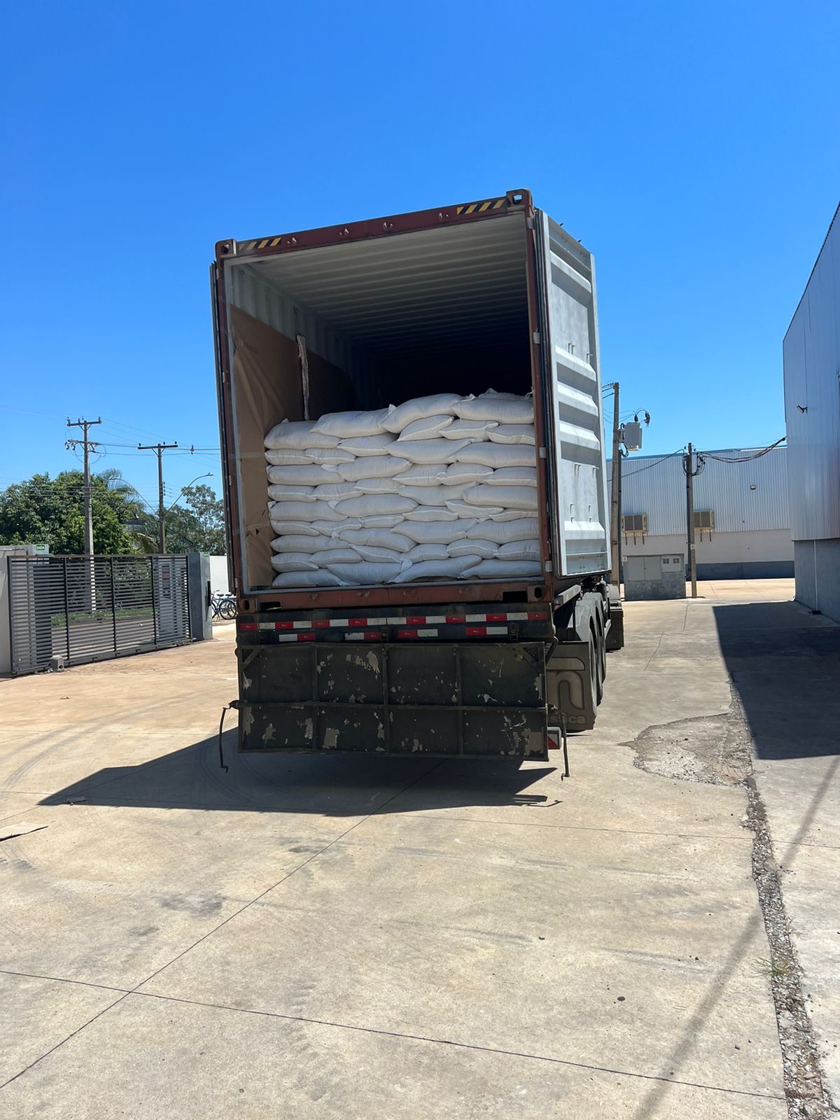 Container loaded with sacks