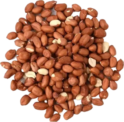 Amendoim runner